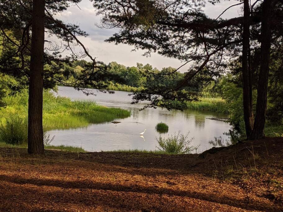 Gaujaupe Villa Gauja  ภายนอก รูปภาพ