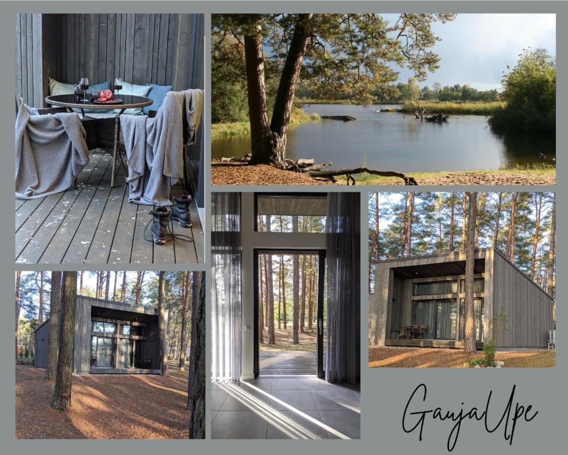 Gaujaupe Villa Gauja  ภายนอก รูปภาพ